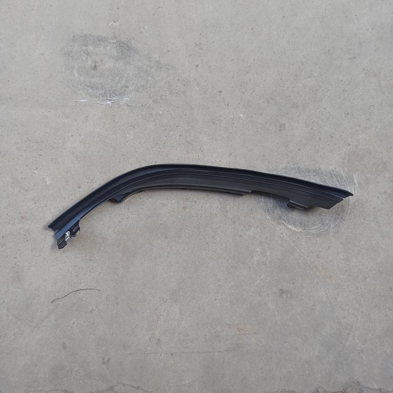 Front bumper trim strip