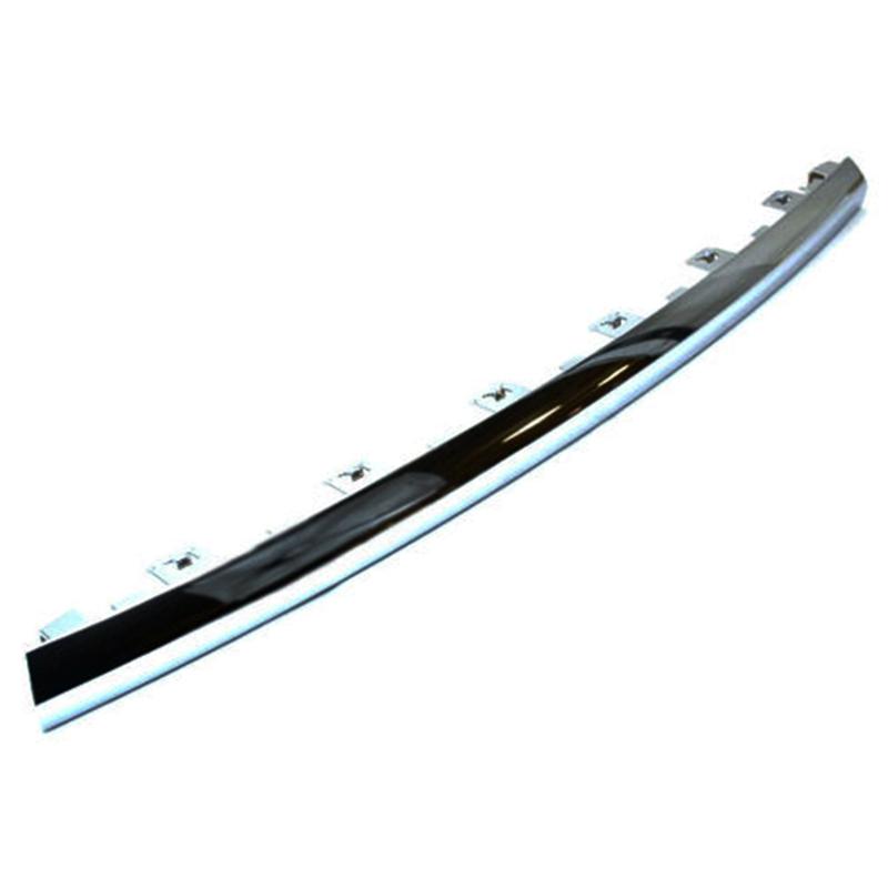 Front bumper molding