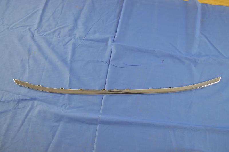 Front bumper lower surround bright strip - ECP2-17859-HA