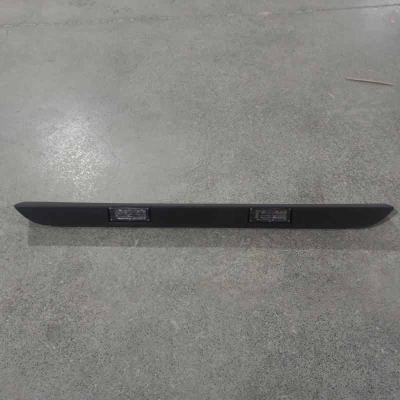 Rear license plate trim with license plate light