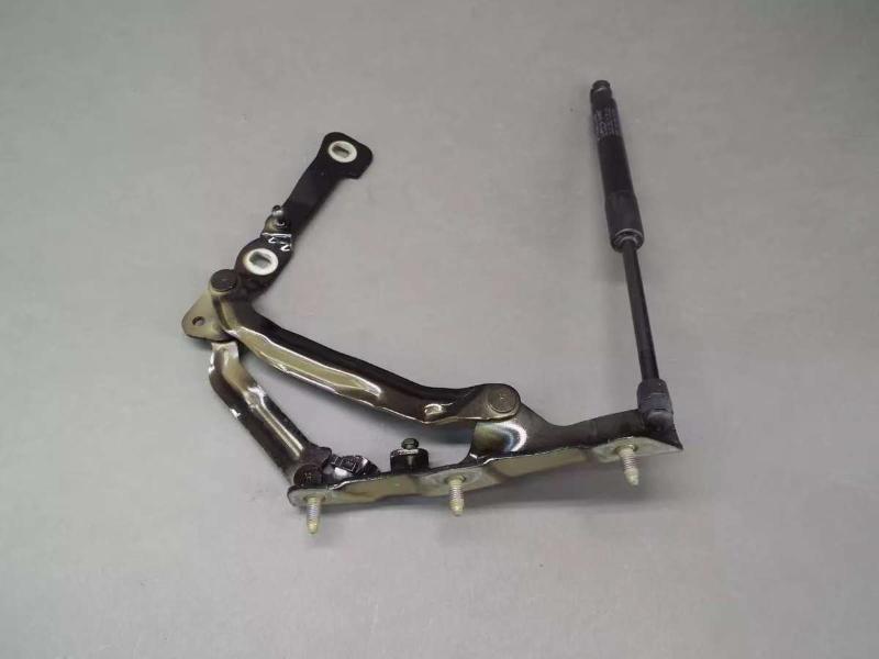 Rear tailgate hinge-left