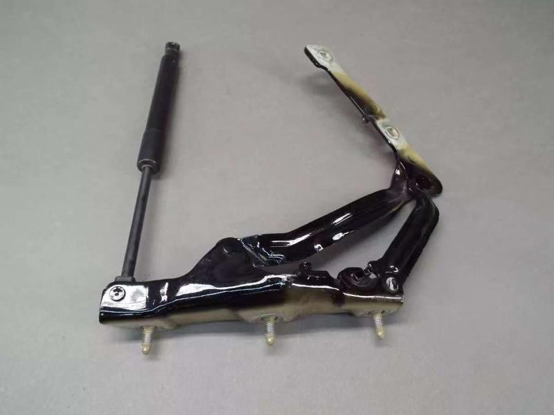 Rear tailgate hinge-left - 1092820-00-E