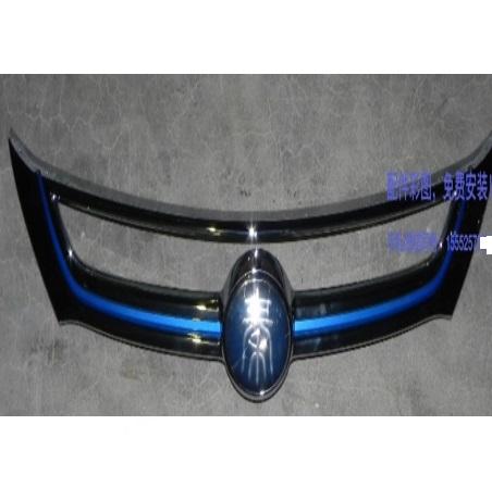 Grille trim strip