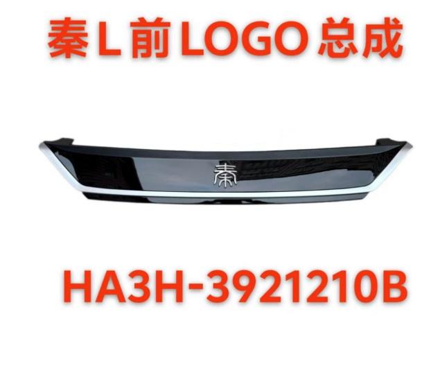 FRONT LOGO ASSY