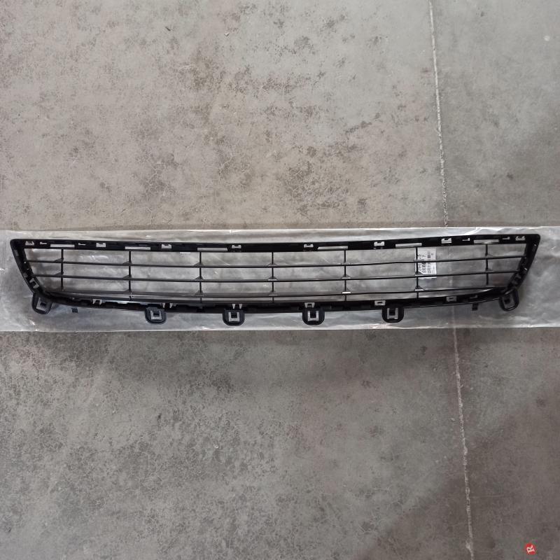 Lower Grille