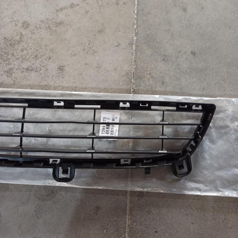 Lower Grille - 51117294475 - 5