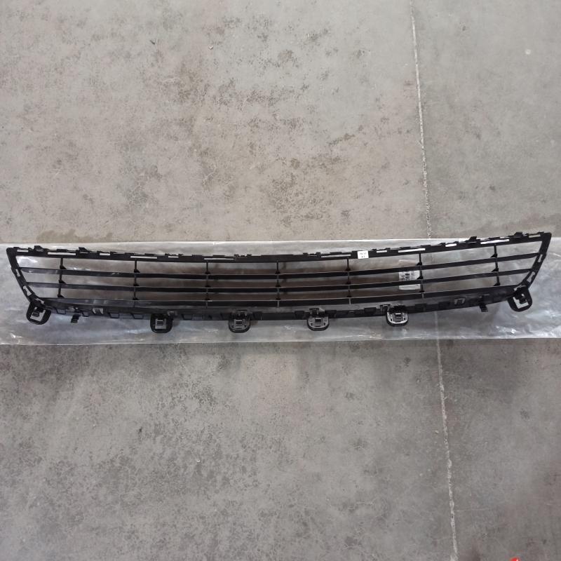 Lower Grille - 51117294475 - 6