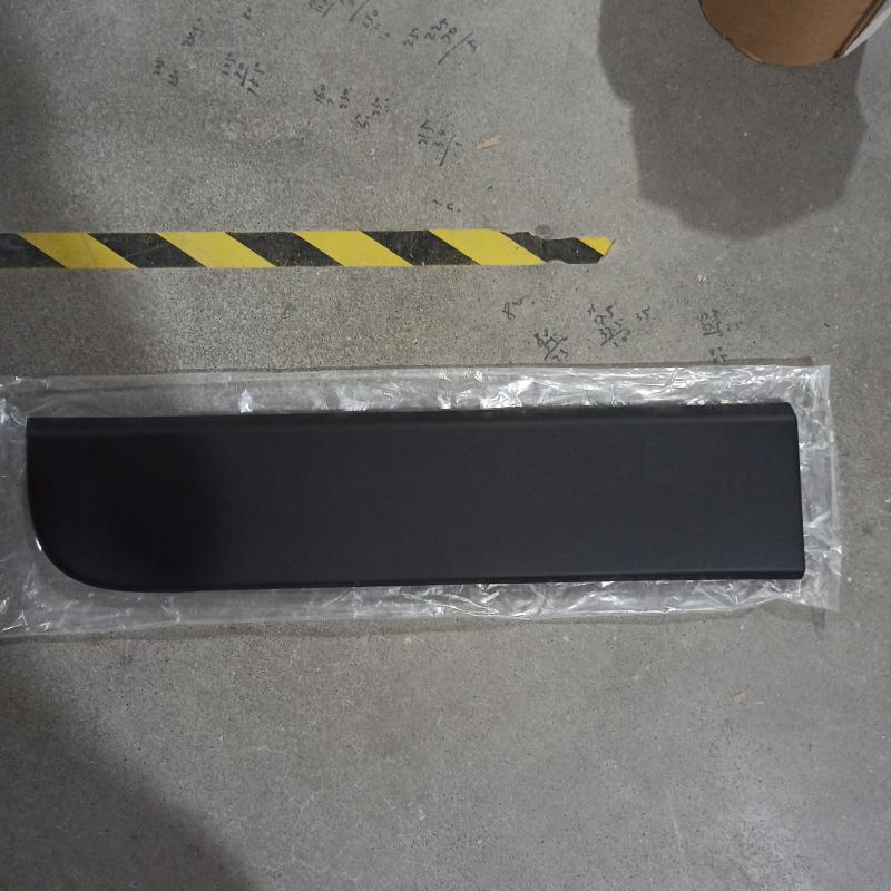 Rear door strip