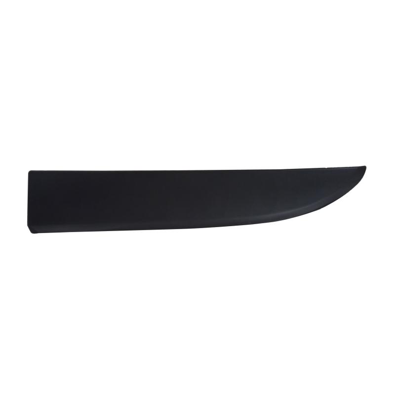 Front Left door side Strip - 808213720R