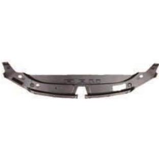 Raidiator cover upper