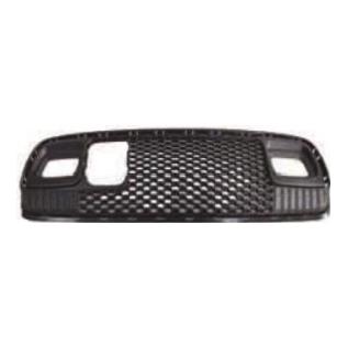 Lower Grille