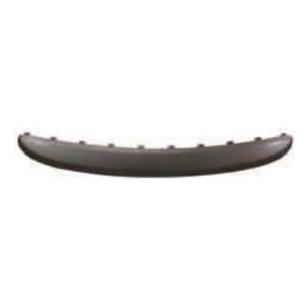 Front bumper under plate