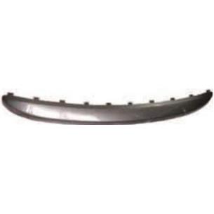 Front bumper under plate dark gray