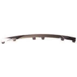 Front bumper molding