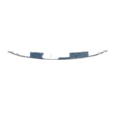 REAR LICENSE BOARD CHROME