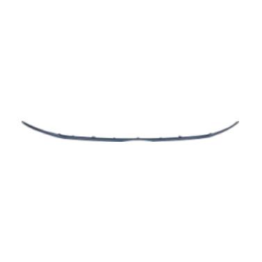 GRILLE LOWER STRIPE PTD