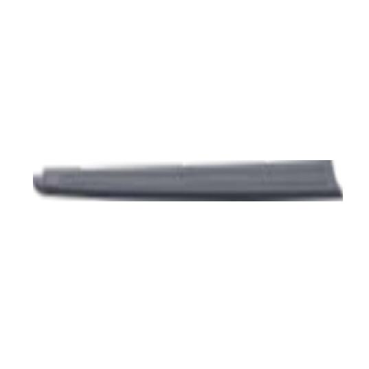 MOULDING ASSY