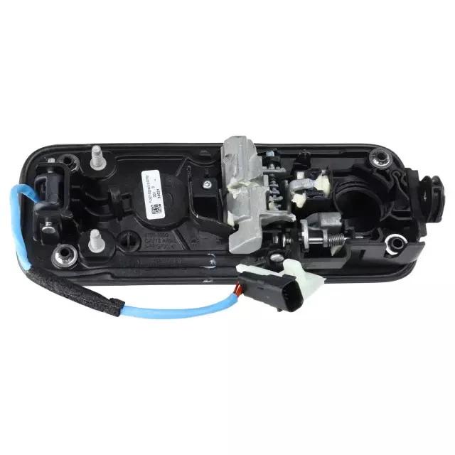 Genuine Handle Outside - FL3Z-1522405-GFPTM - 3