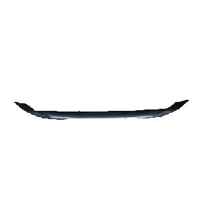 Rear Bumper Trim