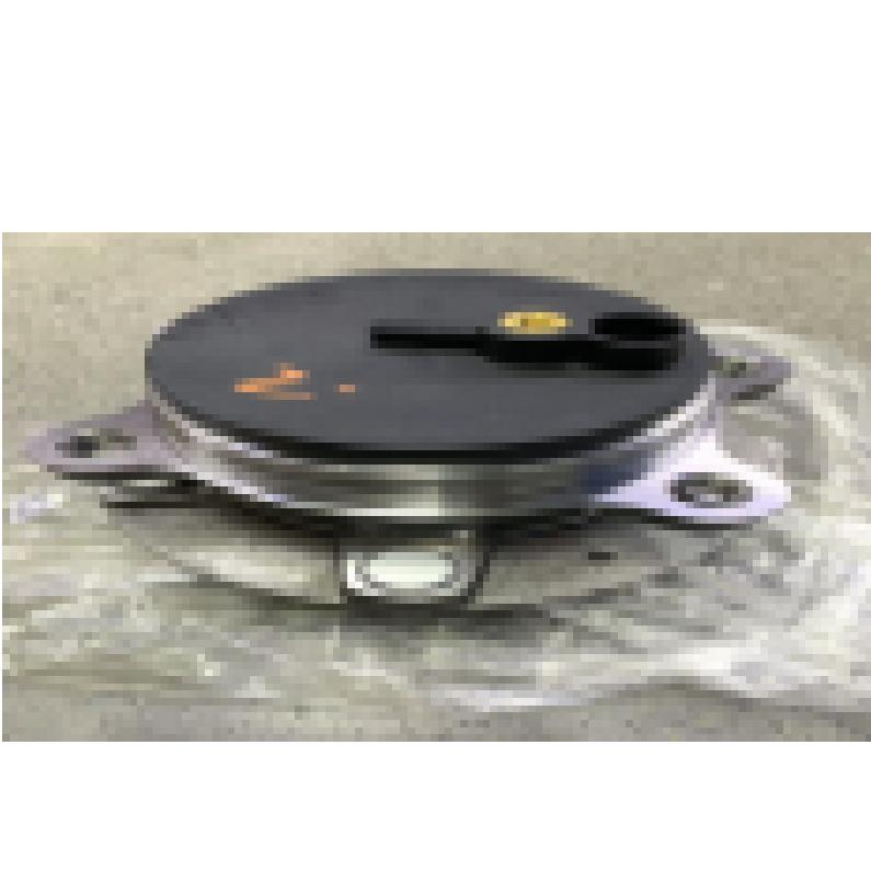 Rear wheel bearing