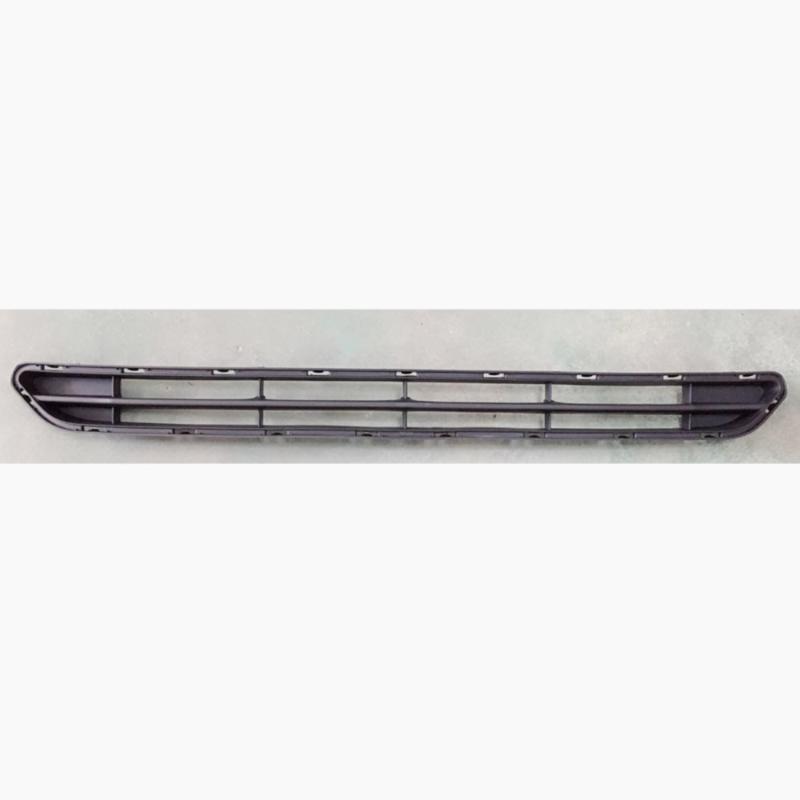 Front bumper trim panel/grille mesh.