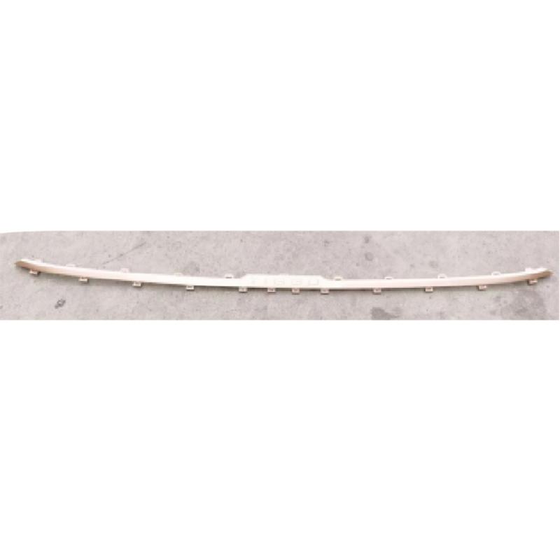 Decorative chrome strip under the front bumper – gold color.