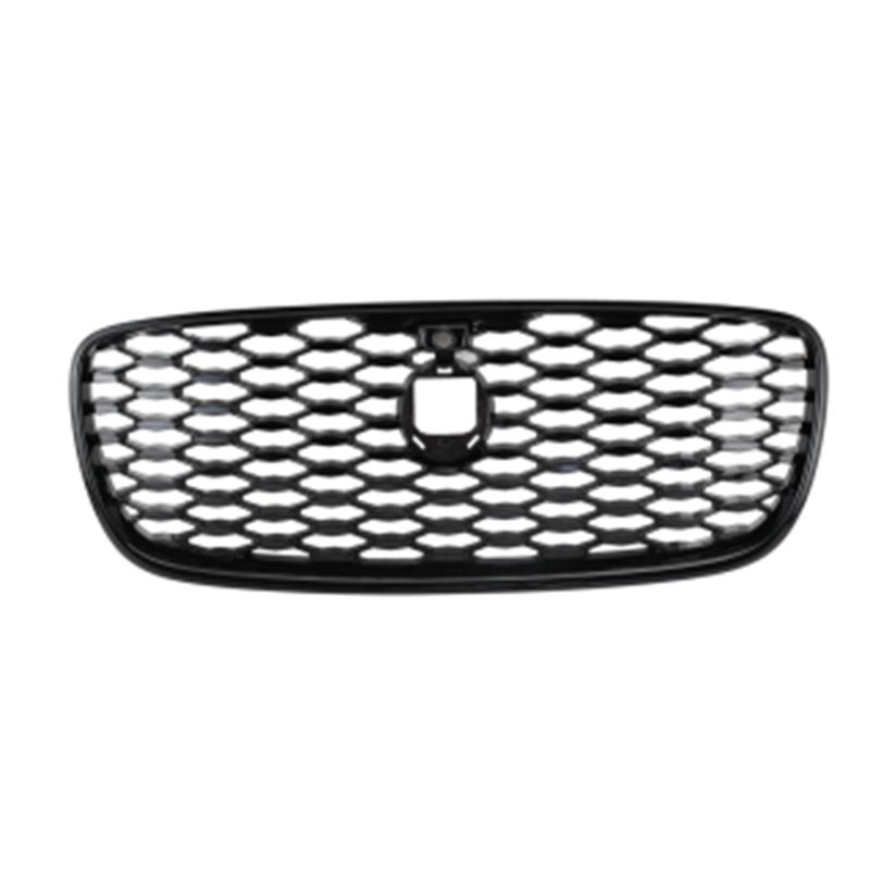 Grille w/camera holes ,gloss black