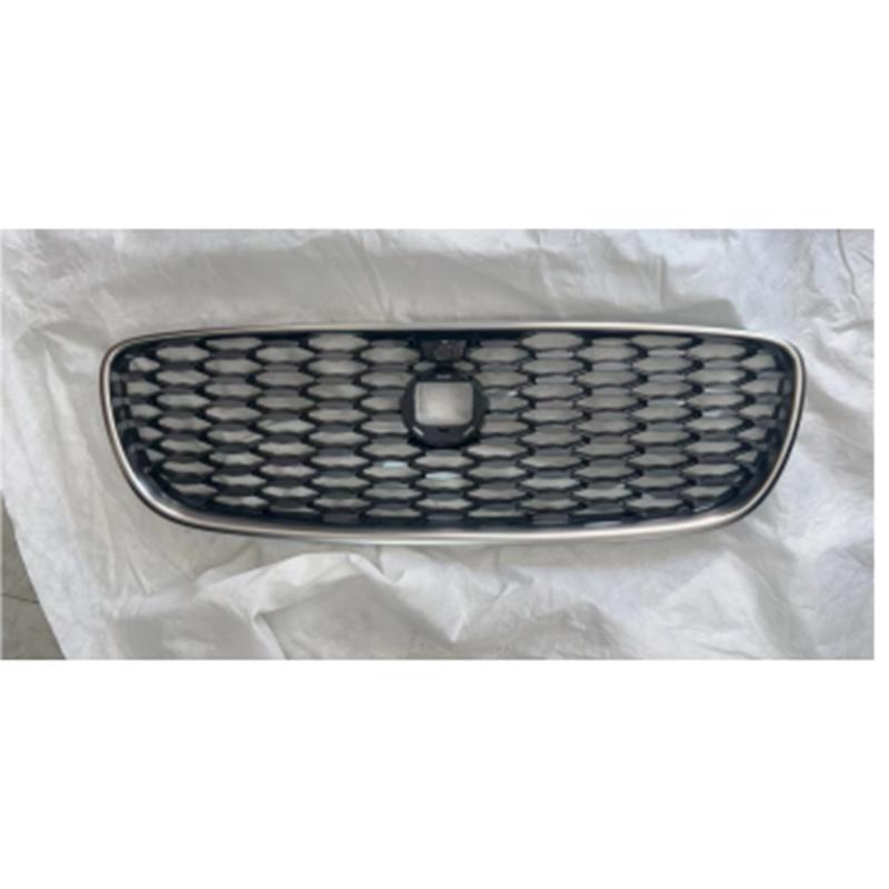Grille w/camera holes,noble chromed
