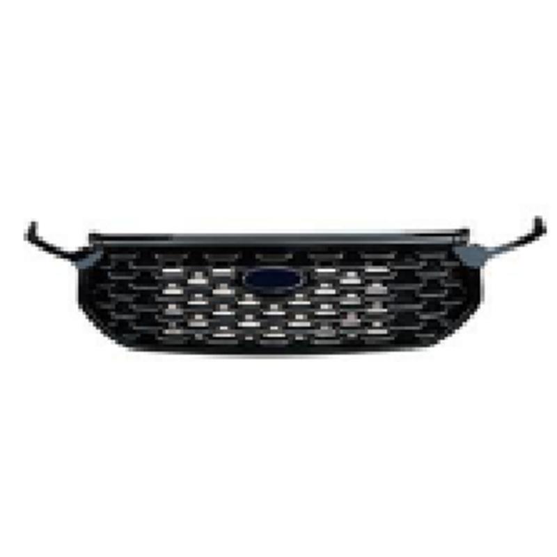 Grille camera chrome